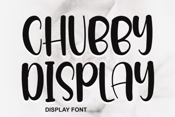 How Chubby Display Font Elevates Your Small Business Brand